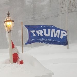 Trump Flags